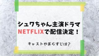 シュワちゃん ドラマ Netflix
