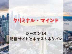 クリミナルマインド 14