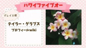 ハワイファイブオー　グレイス　子役