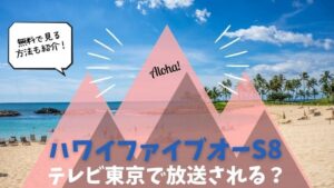 ハワイファイブオー　シーズン8　テレビ 東京