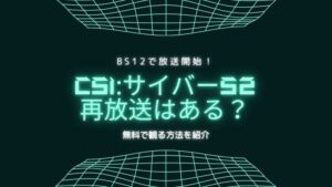 csi サイバー bs12