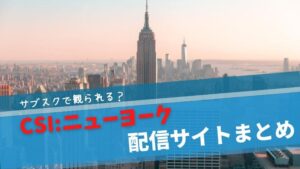 CSI NY 配信