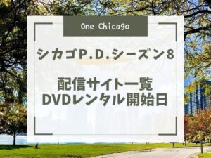 シカゴpd シーズン8 Hulu いつから