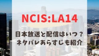 ncis: la シーズン14 日本 放送予定