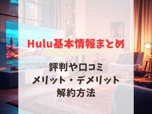 Hulu とは