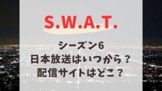 SWAT シーズン6 日本放送