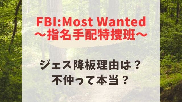 FBIMost Wanted指名手配特捜班　ジェス　降板　理由