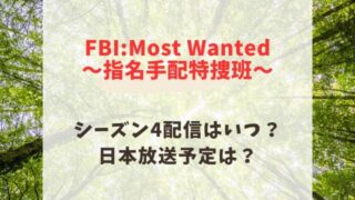 FBI:MostWanted指名手配特捜班4の配信はいつ？キャストとネタバレあらすじ