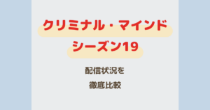 クリミナルマインドシーズン19 配信状況
